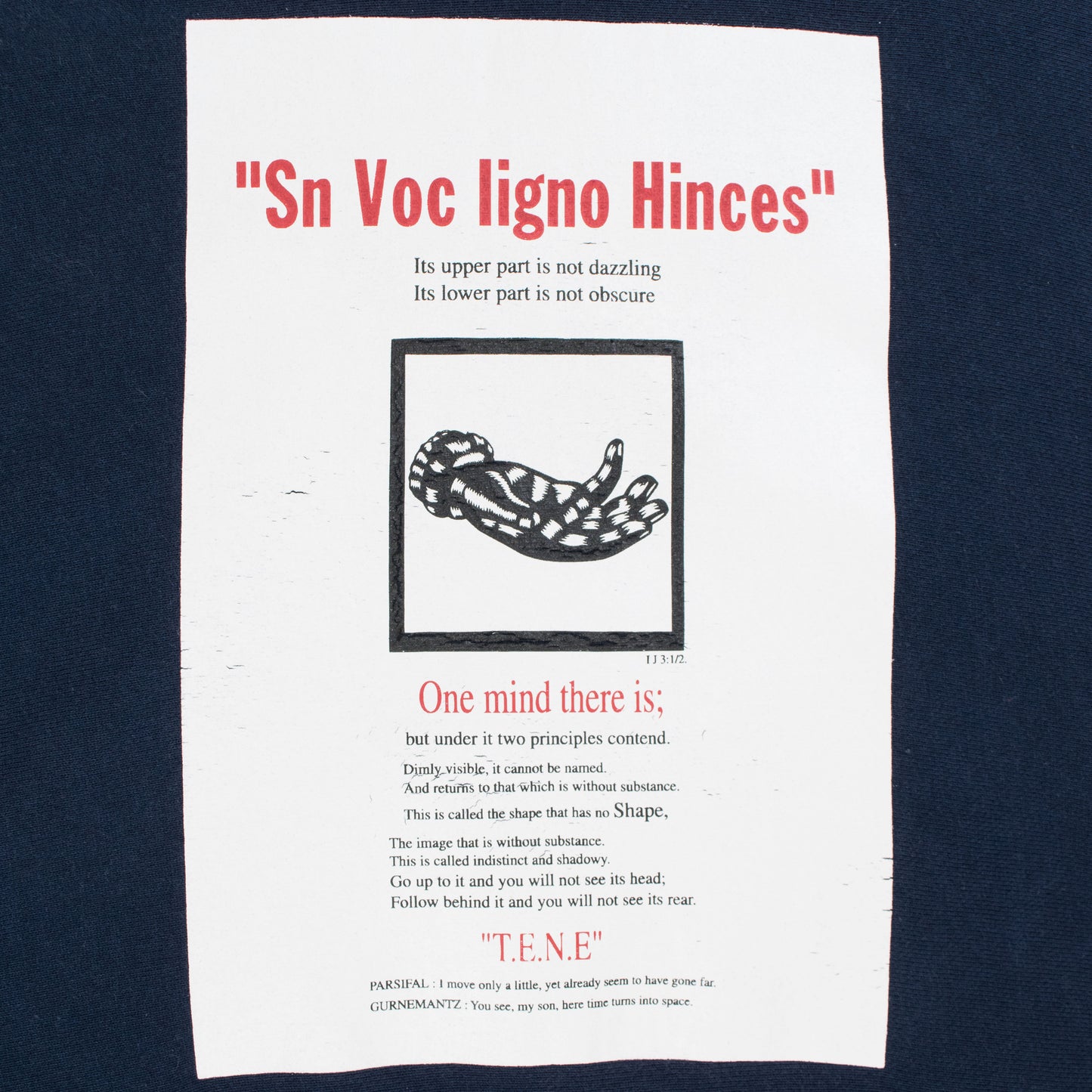 Cav Empt "Sn Voc Ligno Hinces" Hoodie (2012AW)