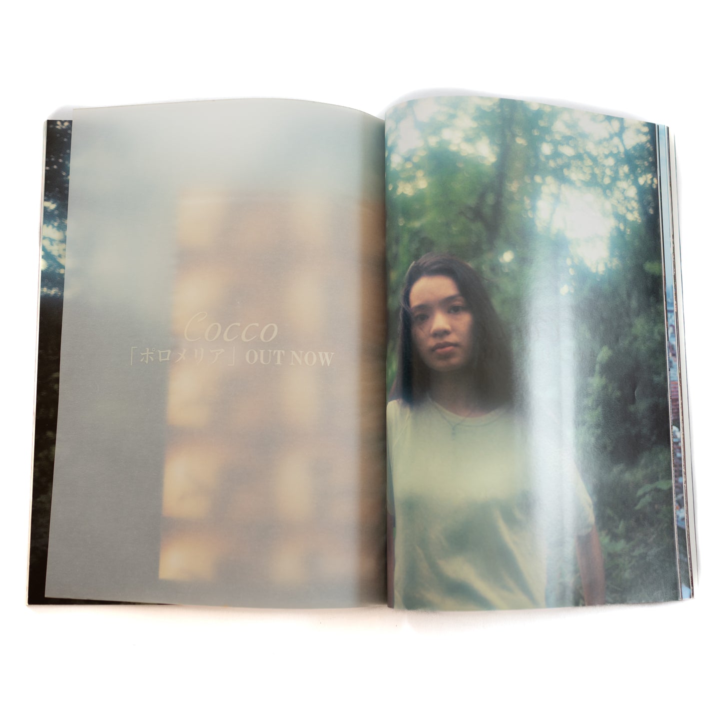 Switch Magazine Vol. 17 No. 9 (1999/11)